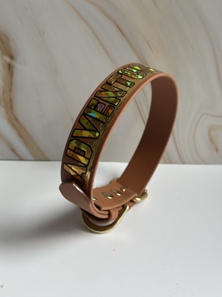 Adventure awaits halsband