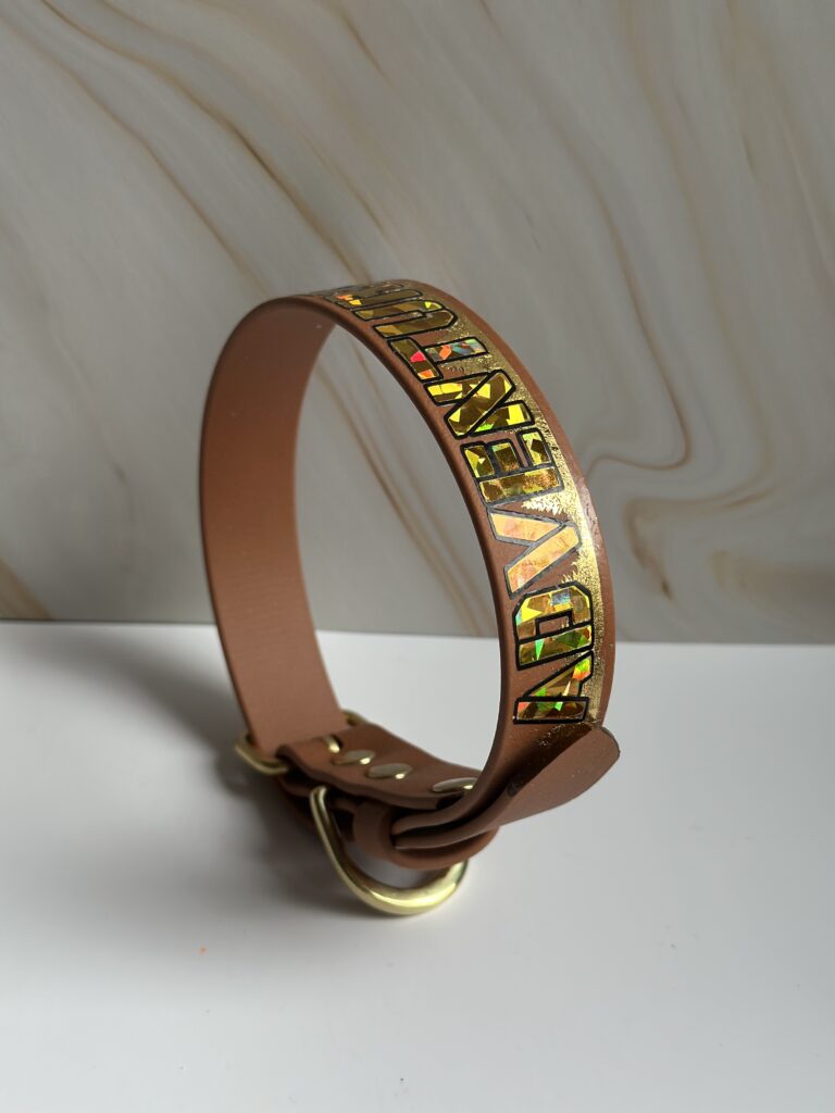 Adventure awaits halsband