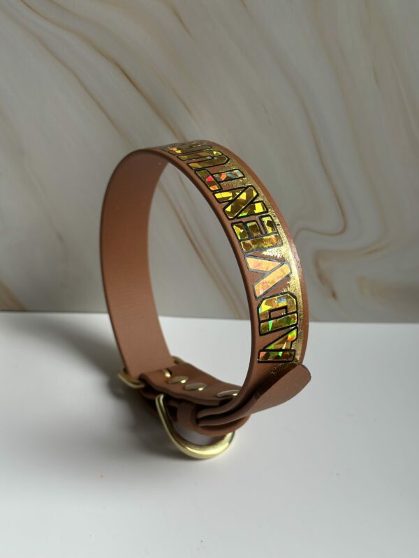 Adventure awaits halsband - Image 3