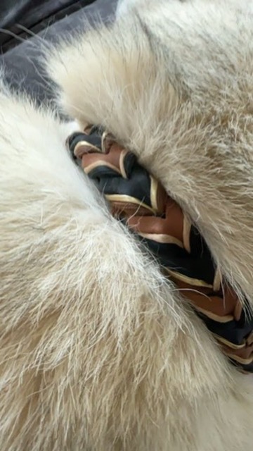 Gevlochten biothane halsband op maat gemaakt - Afbeelding 25