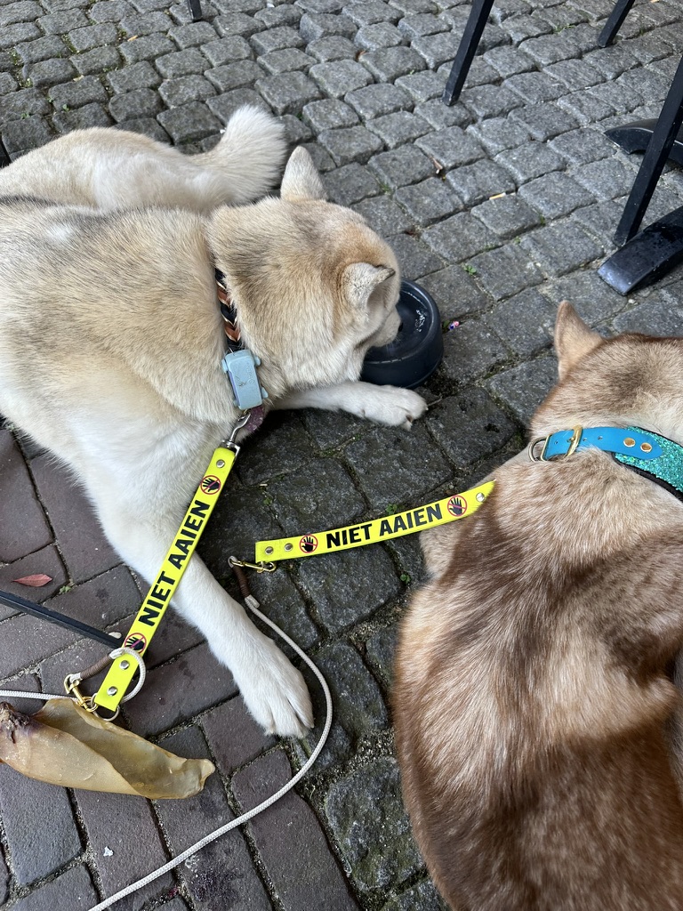 Waarschuwend tussenstuk - Afbeelding 5