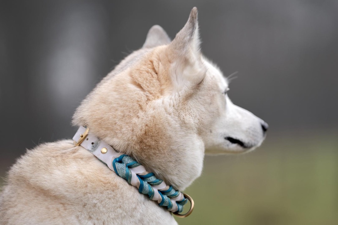 Configurator gevlochten biothane halsband - Afbeelding 5