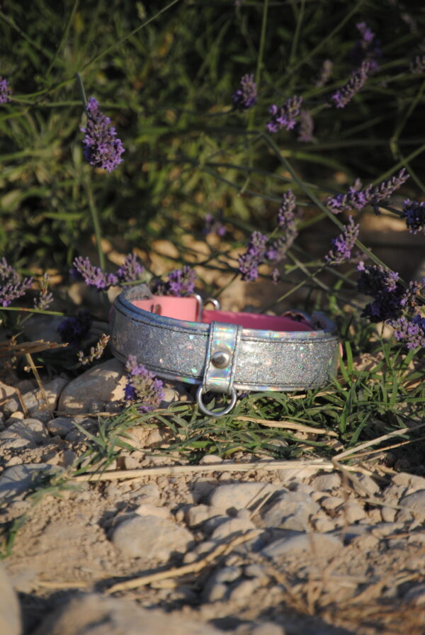 Biothane halsband met glittermix op maat gemaakt - Afbeelding 6