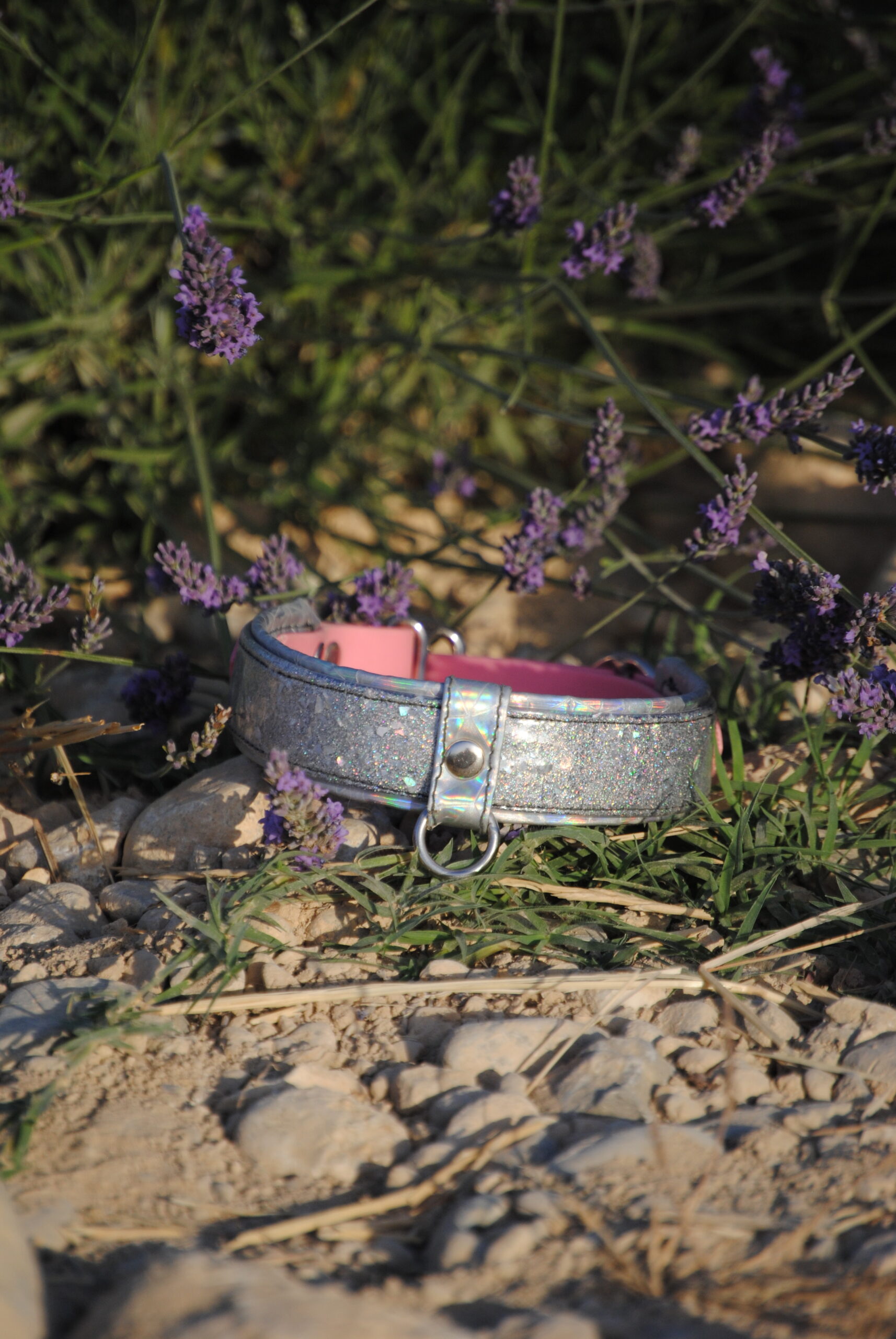 Biothane halsband met glittermix op maat gemaakt - Afbeelding 6