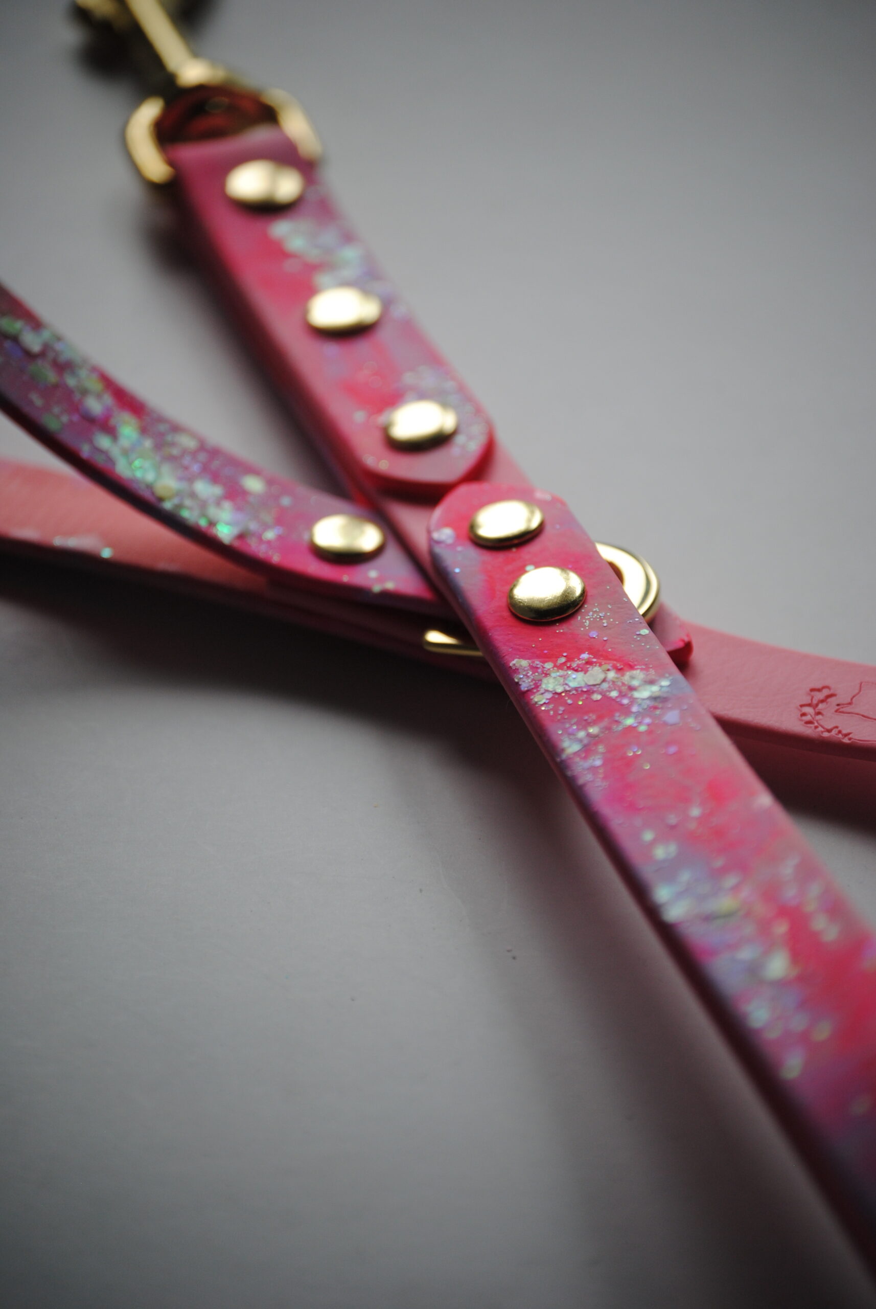 Watercolor glitter biothane lijn op maat gemaakt - Afbeelding 6