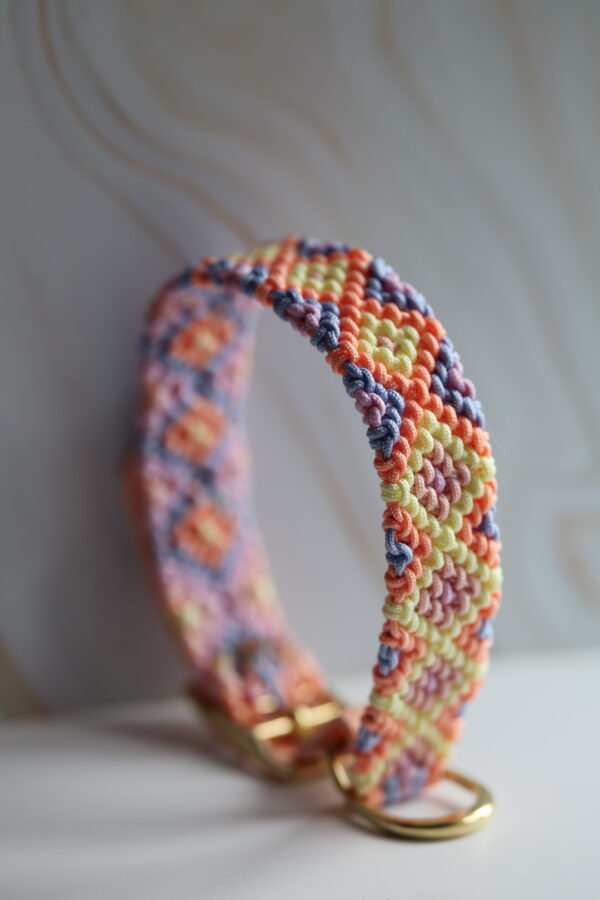 Gevlochten paracord x biothane halsband pastel kleuren - Afbeelding 1