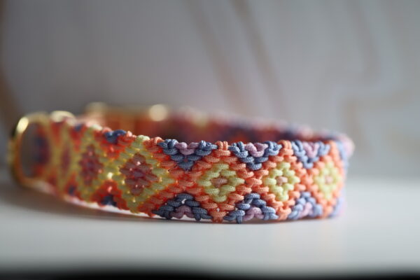 Gevlochten paracord x biothane halsband pastel kleuren - Afbeelding 2