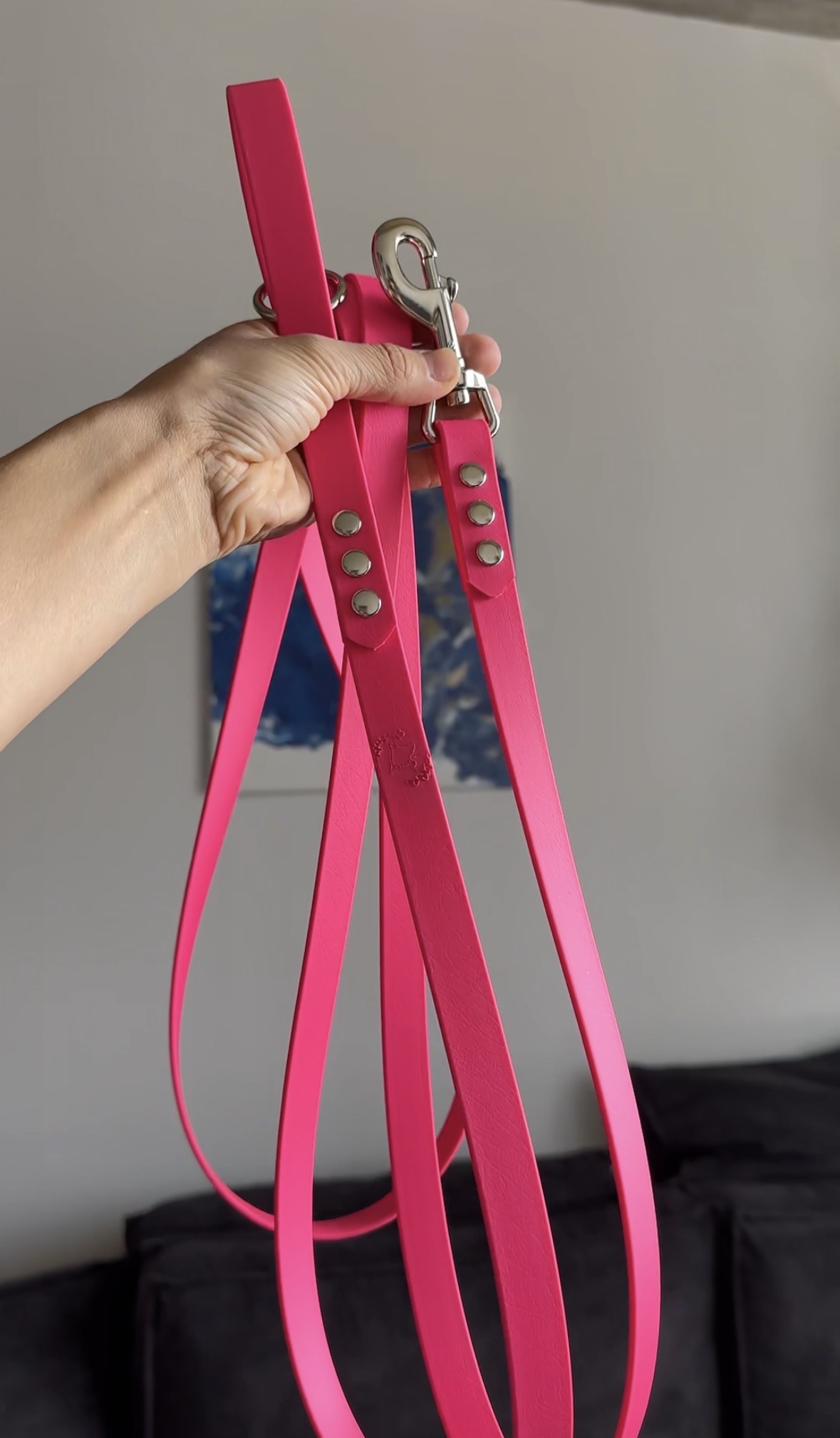 Puppy Essentials - Lange biothane lijn - Afbeelding 1