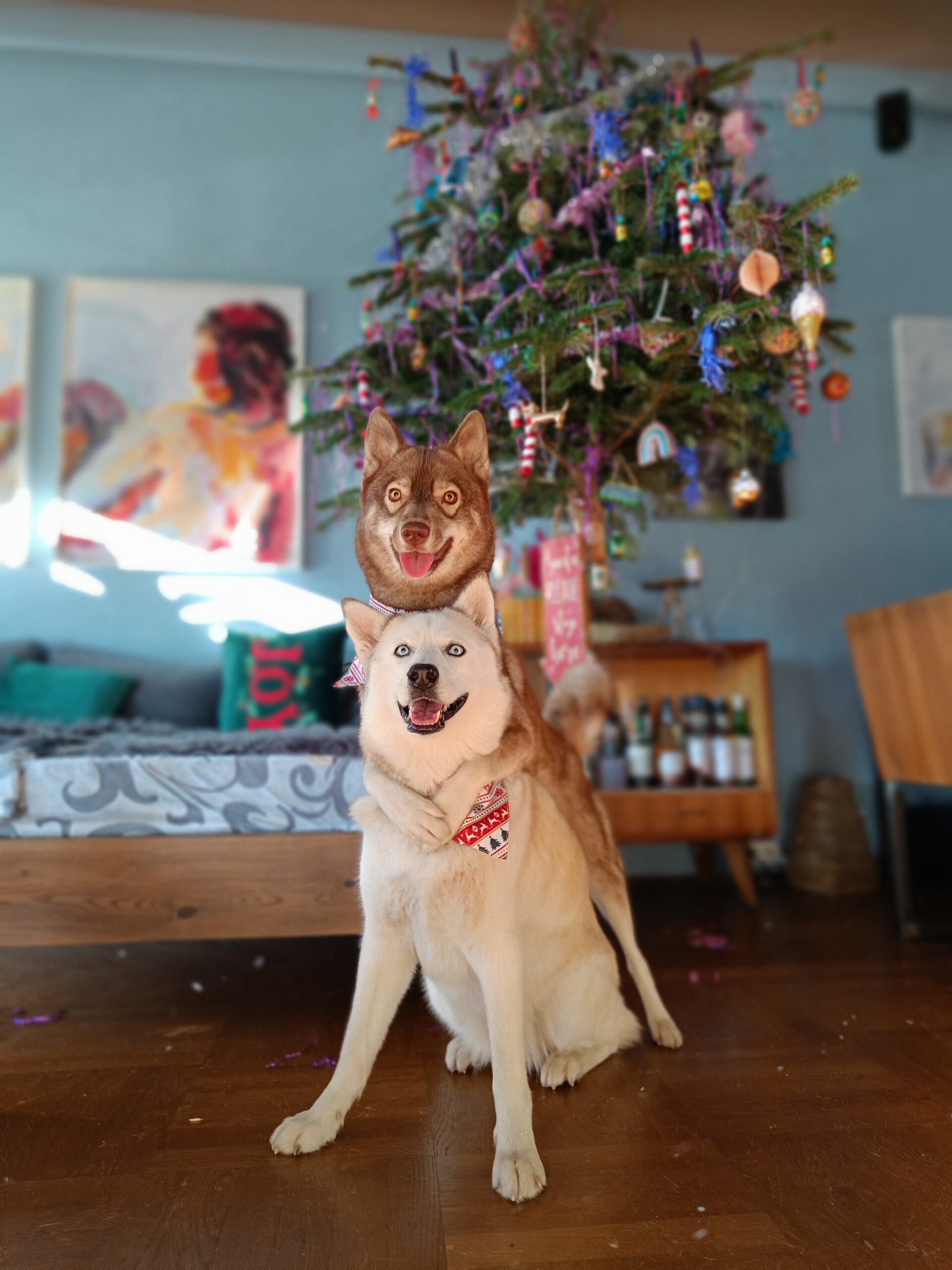 Koyo Unleashed Advent Calendar - Afbeelding 1
